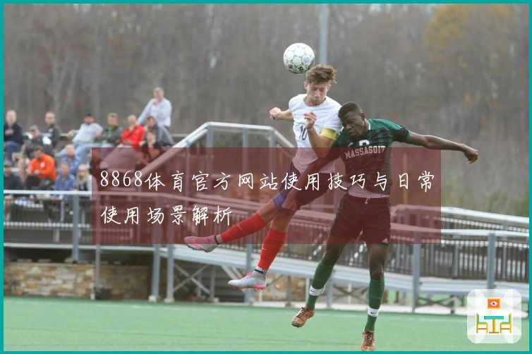 8868体育官方网站使用技巧与日常使用场景解析