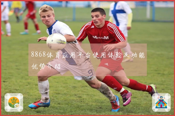 8868体育应用平台使用体验及功能优势介绍